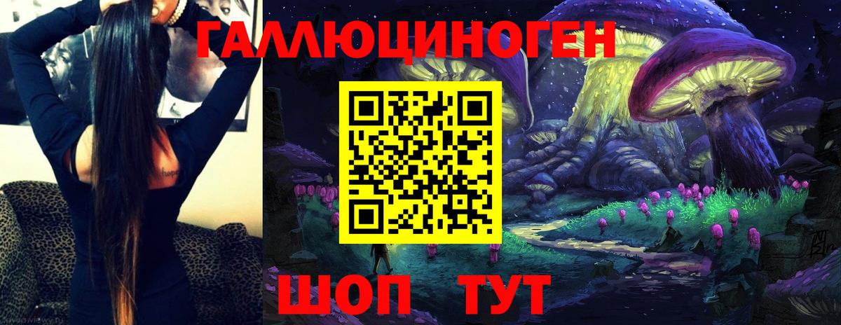 Новомосковск  Псилоцибиновые грибы прущие грибы  Вход с VPN  Псилоцибиновые грибы GOLDEN TEACHER 